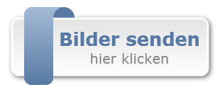 Bilder senden
