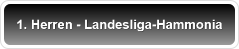 1. Herren - Landesliga-Hammonia