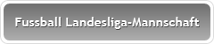 Fussball Landesliga-Mannschaft